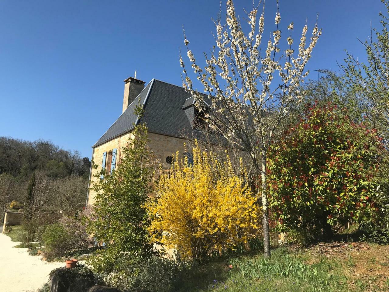 Veyrignac La Riviere Esperance 빌라 외부 사진